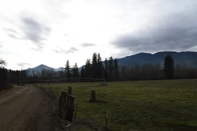 DSC_0044 (Large).JPG